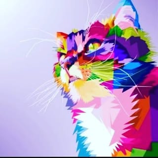 Gatos Creativos